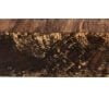 Stabilized Woods - 1.5", 1.75", 5", Natural, Spalted Maple Burl, Block