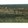 Stabilized Woods - 1", 1.5", 6", Green, Spalted Maple Burl, Block